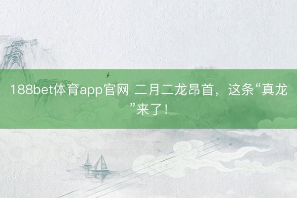 188bet体育app官网 二月二龙昂首，这条“真龙”来了！