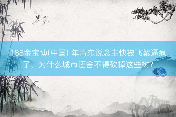 188金宝博(中国) 年青东说念主快被飞絮逼疯了，为什么城市还舍不得砍掉这些树？