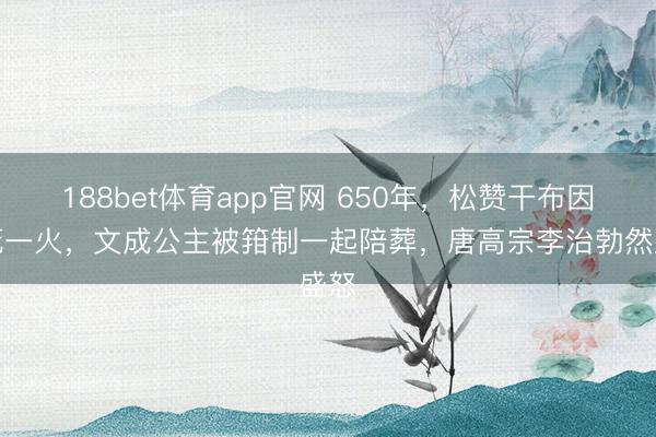 188bet体育app官网 650年,松赞干布因病死一火,文成公主被箝制一起陪葬,唐高宗李治勃然盛怒