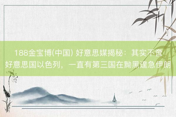 188金宝博(中国) 好意思媒揭秘：其实不啻好意思国以色列，一直有第三国在黝黑遑急伊朗