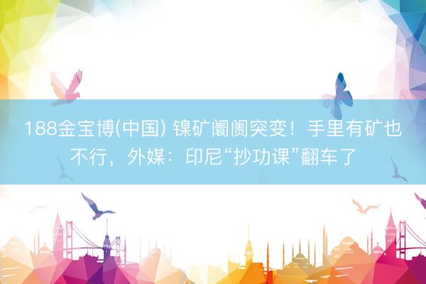 188金宝博(中国) 镍矿阛阓突变！手里有矿也不行，外媒：印尼“抄功课”翻车了