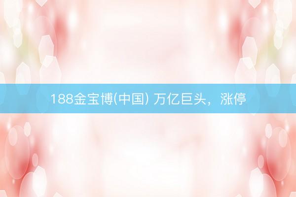 188金宝博(中国) 万亿巨头，涨停
