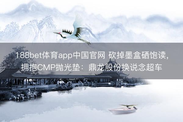 188bet体育app中国官网 砍掉墨盒硒饱读，拥抱CMP抛光垫：鼎龙股份换说念超车