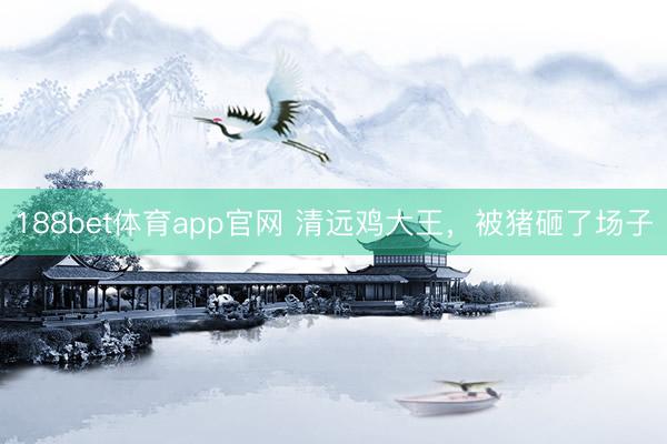 188bet体育app官网 清远鸡大王，被猪砸了场子
