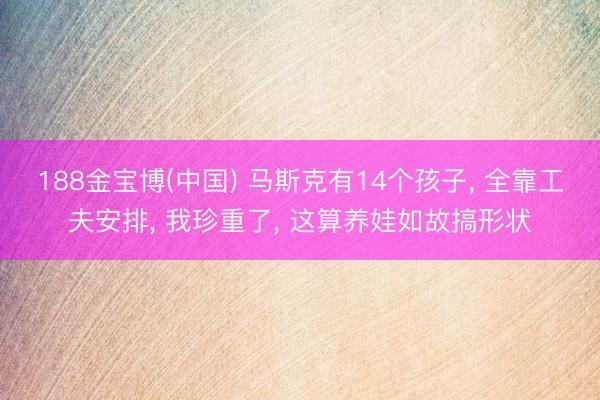 188金宝博(中国) 马斯克有14个孩子， 全靠工夫安排， 我珍重了， 这算养娃如故搞形状