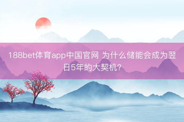 188bet体育app中国官网 为什么储能会成为翌日5年的大契机?
