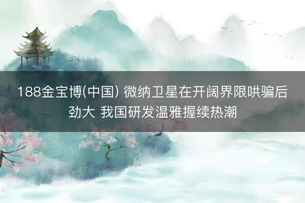 188金宝博(中国) 微纳卫星在开阔界限哄骗后劲大 我国研发温雅握续热潮