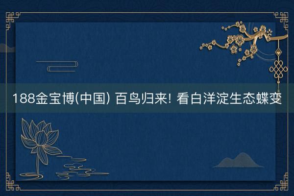 188金宝博(中国) 百鸟归来! 看白洋淀生态蝶变