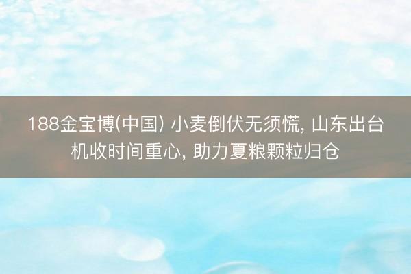 188金宝博(中国) 小麦倒伏无须慌, 山东出台机收时间重心, 助力夏粮颗粒归仓