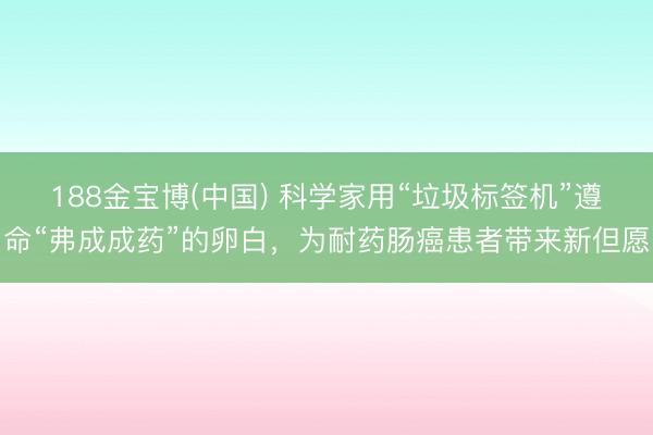 188金宝博(中国) 科学家用“垃圾标签机”遵命“弗成成药”的卵白，为耐药肠癌患者带来新但愿