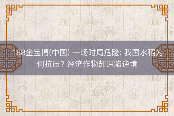 188金宝博(中国) 一场时局危险: 我国水稻为何抗压? 经济作物却深陷逆境