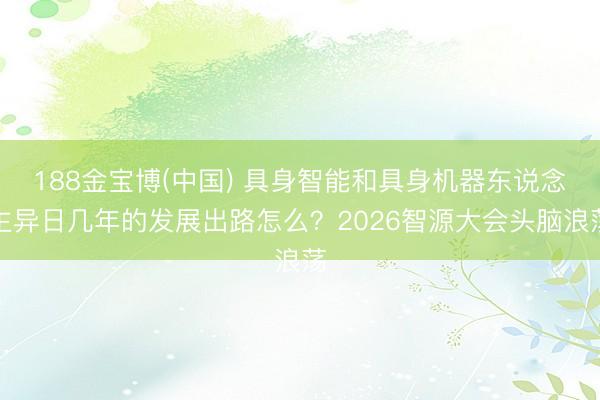 188金宝博(中国) 具身智能和具身机器东说念主异日几年的发展出路怎么？2026智源大会头脑浪荡